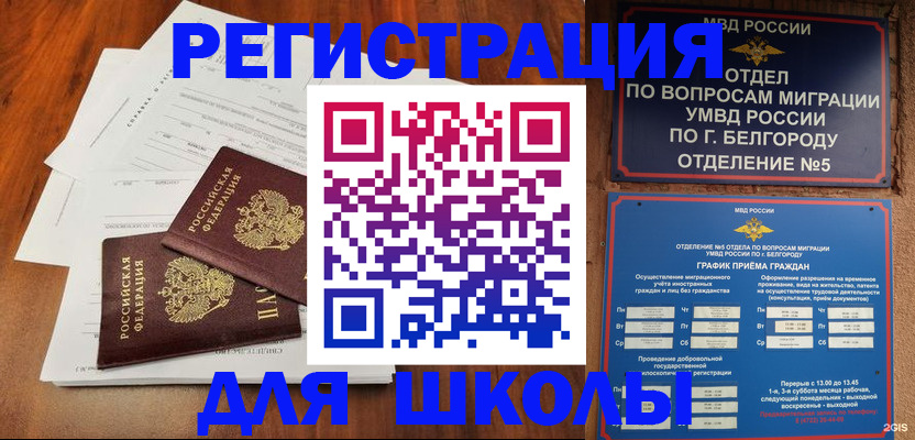 прописка поиск в Чистополье